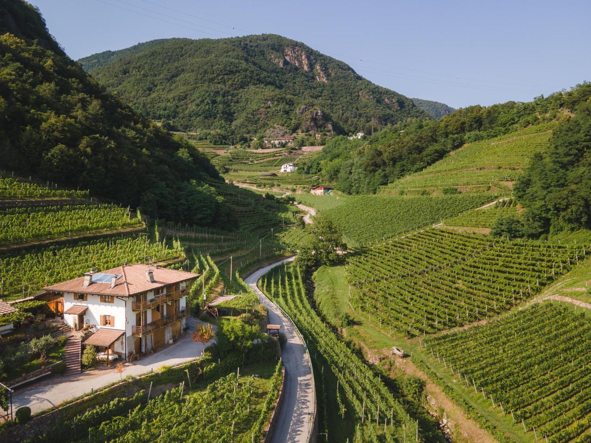 Agriturismo Valfraja Cembra Lisignago Kültér fotó