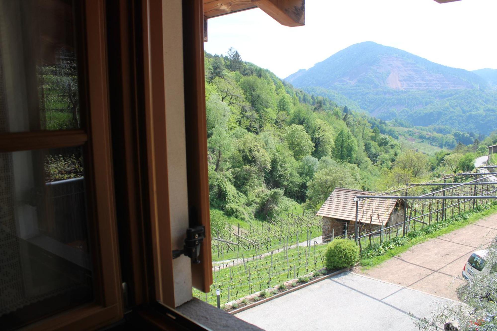 Agriturismo Valfraja Cembra Lisignago Kültér fotó