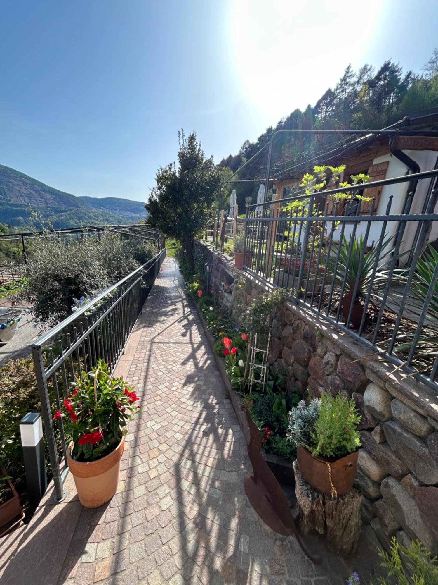 Agriturismo Valfraja Cembra Lisignago Kültér fotó