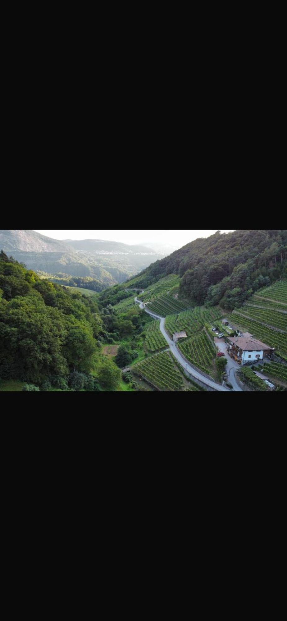 Agriturismo Valfraja Cembra Lisignago Kültér fotó