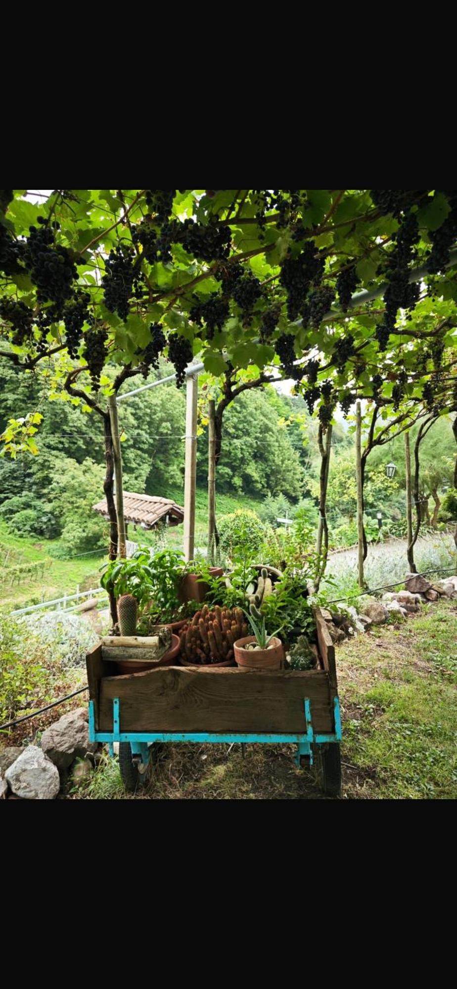 Agriturismo Valfraja Cembra Lisignago Kültér fotó