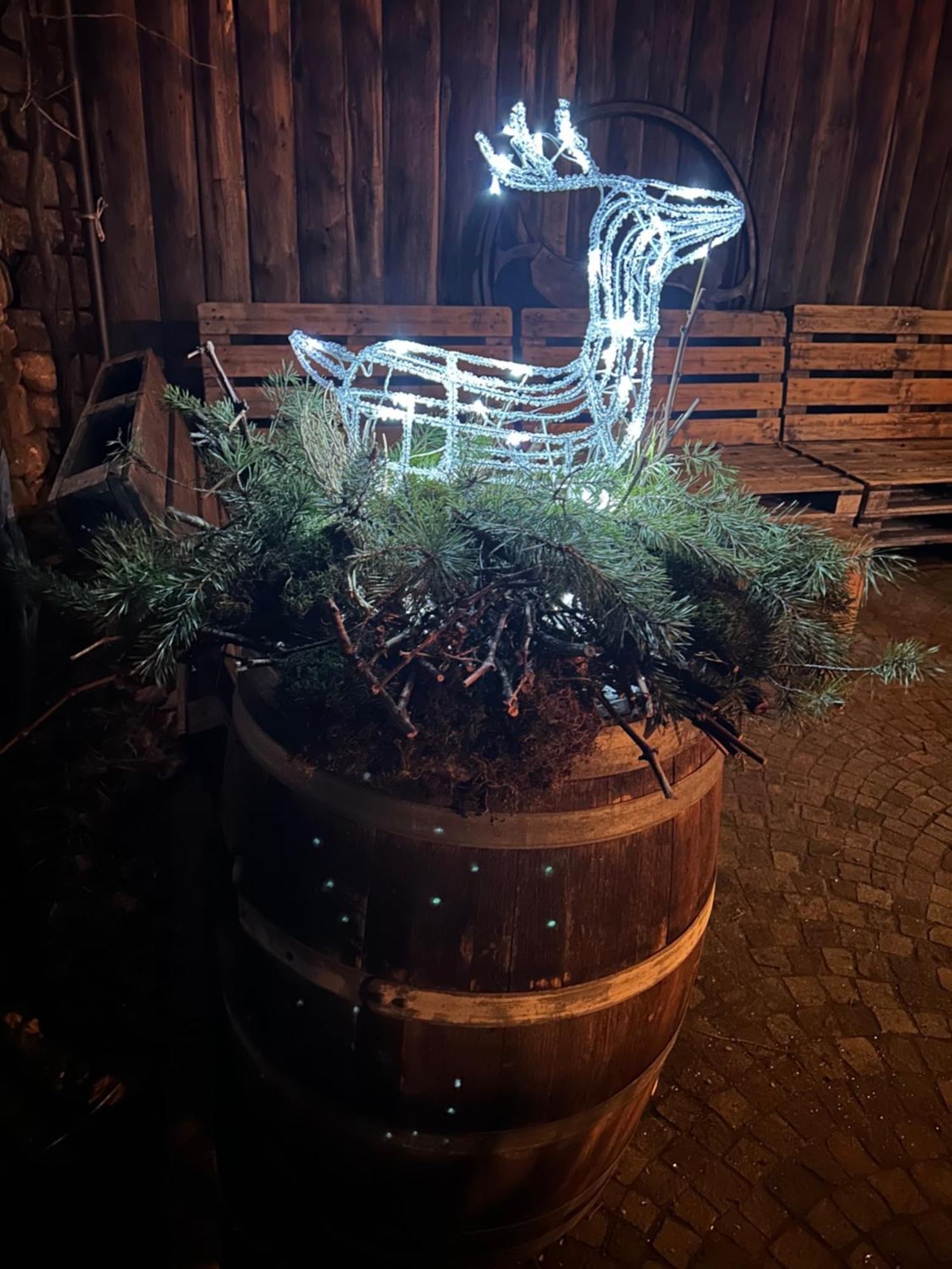 Agriturismo Valfraja Cembra Lisignago Kültér fotó