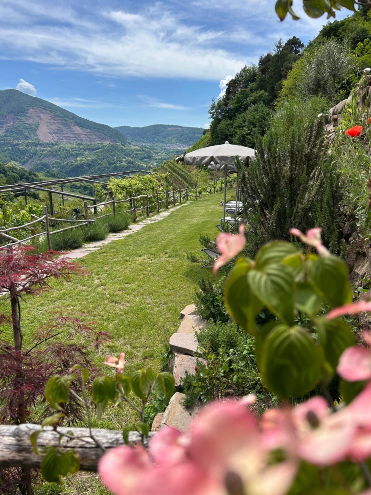 Agriturismo Valfraja Cembra Lisignago Kültér fotó